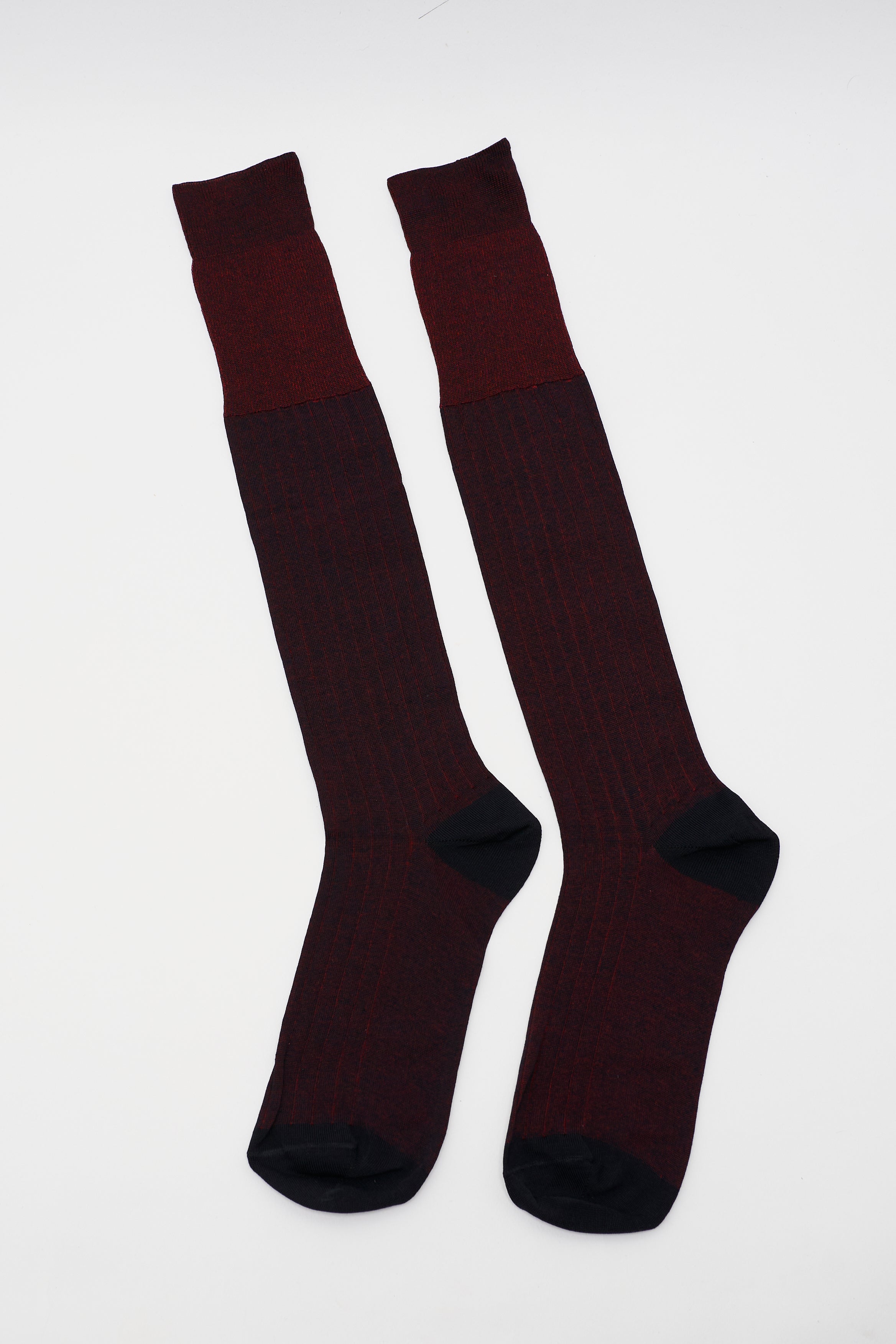 Calze Dandy Bordeaux